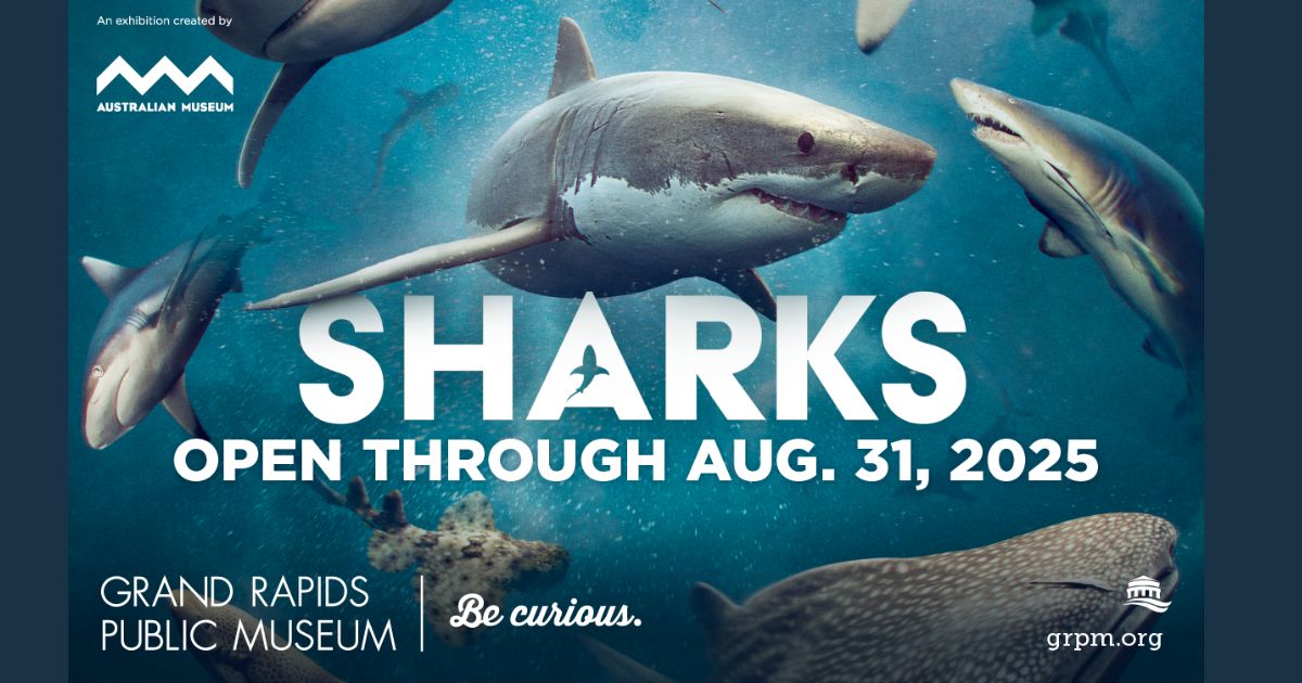 WMW SPOTLIGHT GRPM SHARKS 2