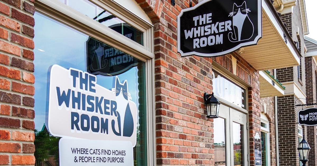 WMW WhiskerRoom Web3