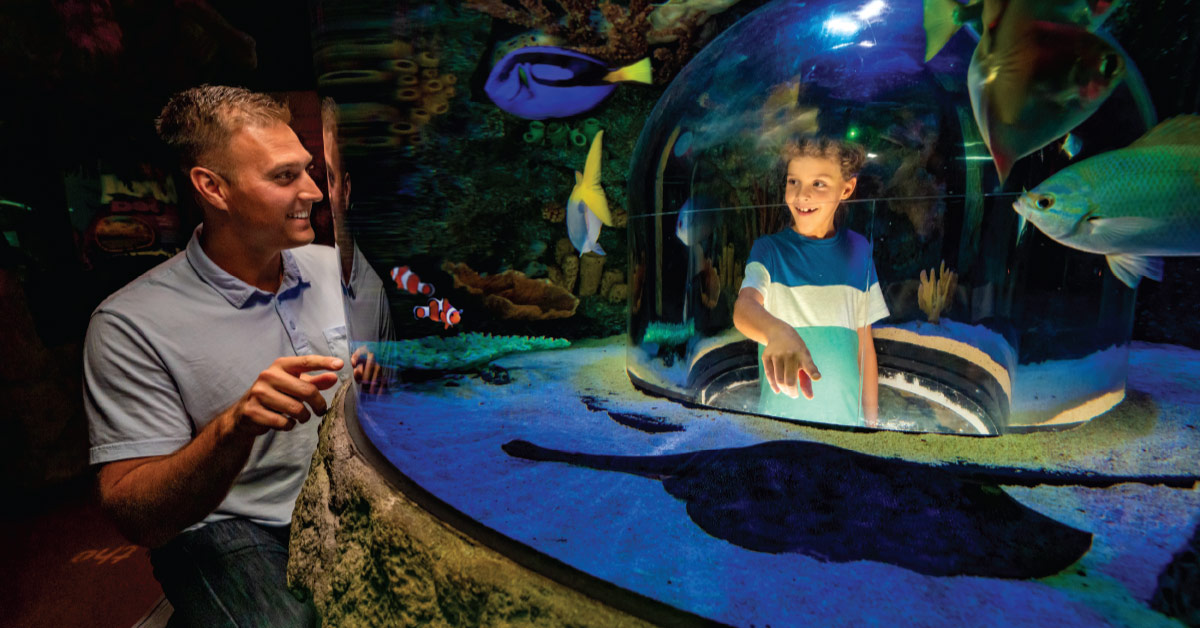 family travel activities