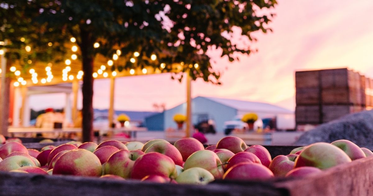 WMW CiderWeekGRIsBack Web2