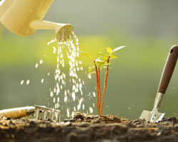 gardening