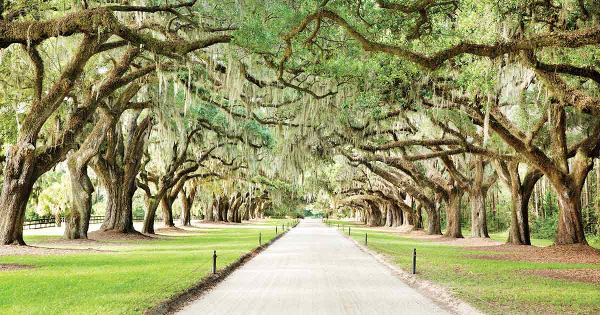 beating-the-winter-blues-Charleston