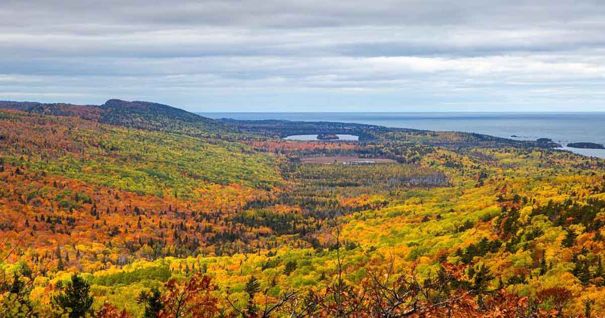 frolic-in-fall-foliage-BrockwayMountain