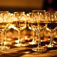 Entertain-Wine Glasses