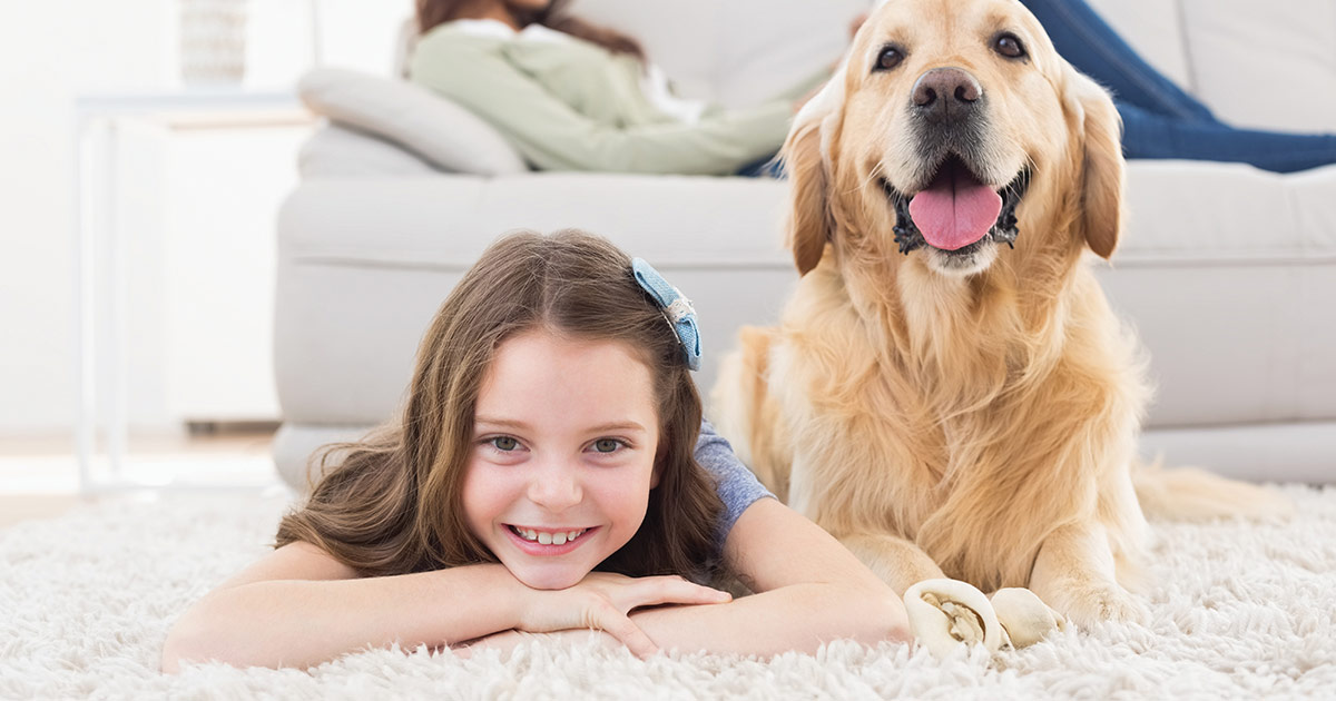 /How%20Pet-Friendly%20Is%20Your%20Home